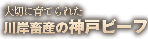 大切に育てられた川岸畜産の神戸ビーフ
