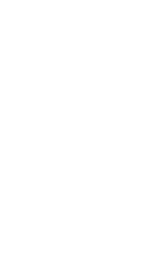 神戸ビーフの魅力