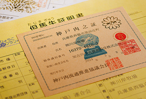 神戸牛証明書